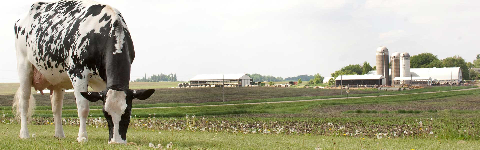 Services ABS Global Australia