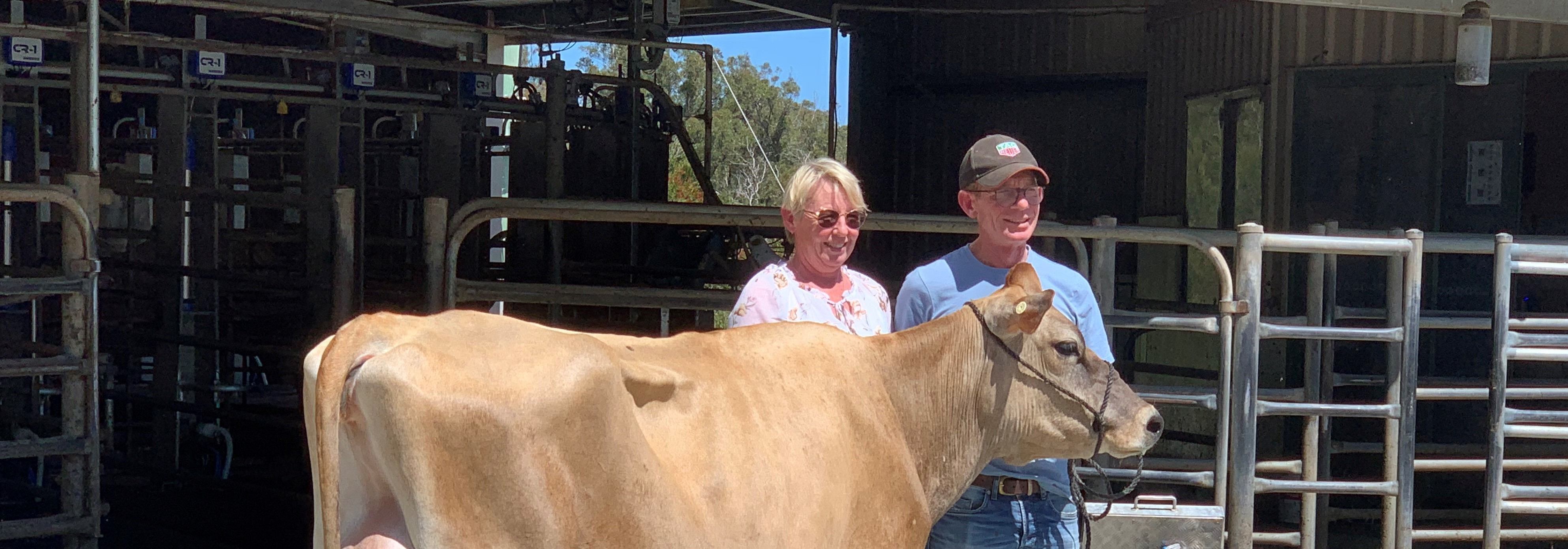 Quality sire comes from proven cow family ABS Global Australia