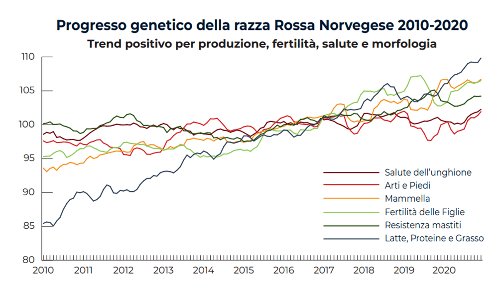 Progresso genetico della razza Rossa Norvegese 2010-2020