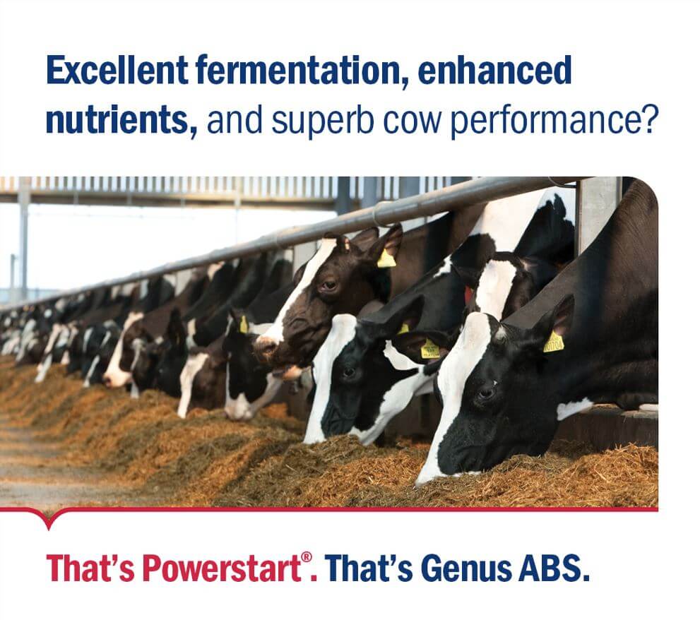 Improved grass fermentation with Powerstart from Genus ABS